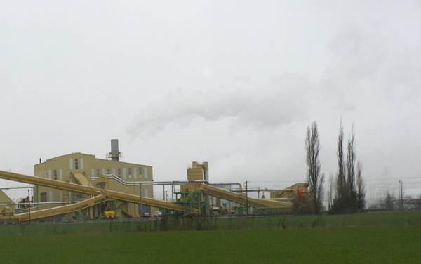 Seneca Sustainable Energy’s wood-fueled “biomass” incinerator in West Eugene. Photo by John Jordan-Cascade.